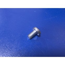 Винт М4*8 РАЕ-078 (используется для крепления переключателей любых марок к любым плитам)